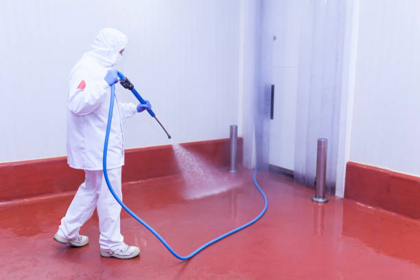 Professional  Pressure Washing Services in Chamberlayne, VA